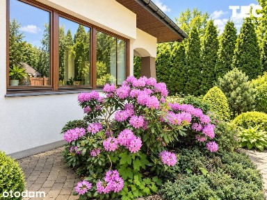 Dom wolnostojący na sprzedaż w Cholerzynie 215m2