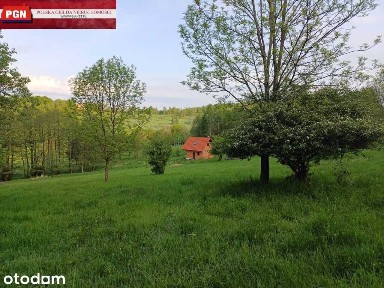 Dom w stanie surowym - spokojna, zielona okolica