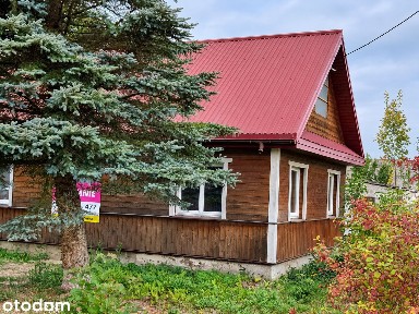 Stare podlaskie siedlisko W Puszczy BiałowieskiejDrewniany dom 6000 m²