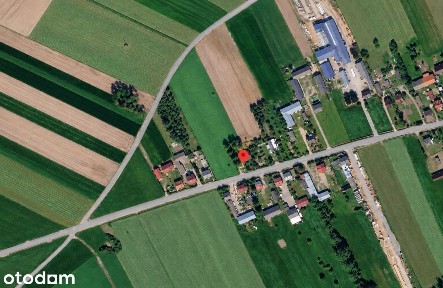 Dom| Gospodarstwo Rolne 2,4| Las| Grędzice