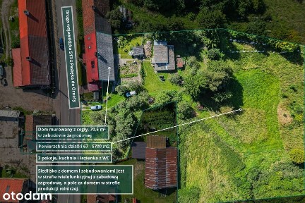 Bielica, Godkowo, elbląski, warmińsko-mazurskie
