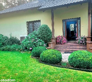 UROKLIWY DOM jednorodzinny, parterowy z działką leśną /2189m2/