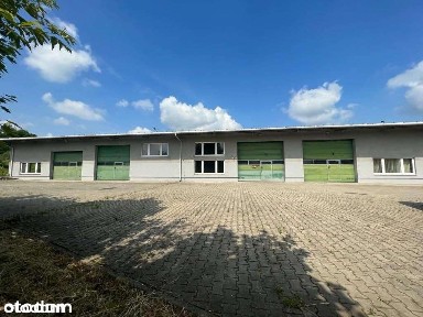 200m2 Hala + utwardzony Plac/Magazyn/ na Wynajem