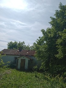 Super siedlisko/hodowla kozy/owce/alpaki