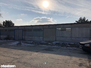 Hala 996 m², produkcja, magazyn, warsztat, Hurtownia, usługi