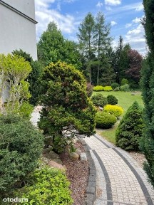 Przestronny dom o wyjątkowej architekturze - ok. 300m², działka 2300m²