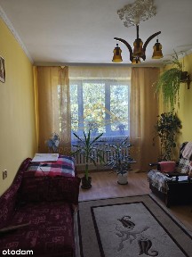 Turowa Wola, Kowiesy, skierniewicki, łódzkie
