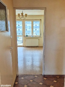 45 m² / 2 pokoje z balkonem i piwnicą / minuta od pętli Nowodwory
