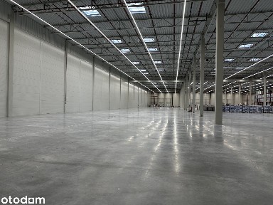 Wynajem Magazynu Syców przy trasie S8; 288-4000m