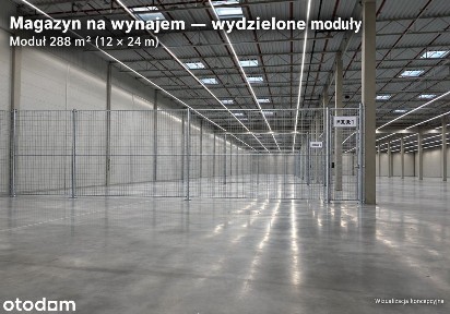 Magazyn OKAZJA (z opcją obsługi) Syców przyS8, bezpośrednio 288 -1200m2