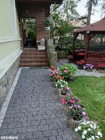 Mieszkanie 3-pokojowe 108,8 m² z ogródkiem