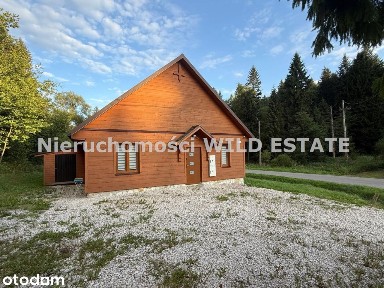 Dom, 100 m², Łodyna
