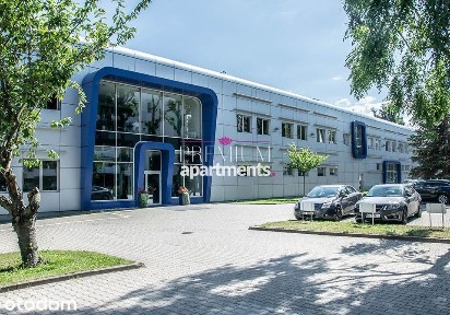 Lokal biurowy 349 m2, 7 pomieszczeń, 2 toalety