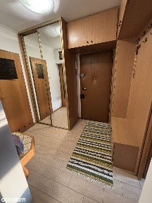 Jasne, 2-pokojowe mieszkanie z dużym balkonem i widokiem na zieleń