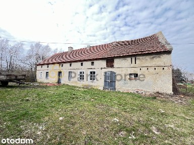 Dom do remontu/ rozbiórki, działka 22 ary
