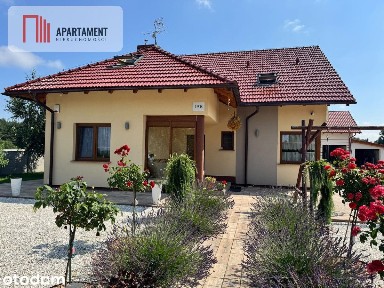 Dla rodziny z dziećmi, Do dalszego wynajmu, Blisko