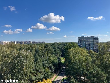 ul. Fiodora Dostojewskiego, Widzew Wschód, Widzew, Łódź, łódzkie
