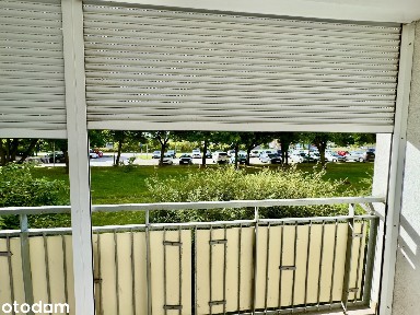 Najem okazjonalny 3 pokoje z balkonem | Piątkowo | 63 m² | od zaraz