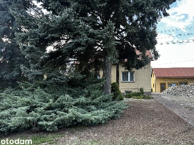 Dom z nieruchomościami 22 ar, lokal gastronomiczny,dom drewniany