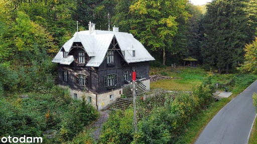 Kamionki, Pieszyce, dzierżoniowski, dolnośląskie