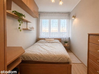 Nowowiejska, Sady, Kielce, świętokrzyskie