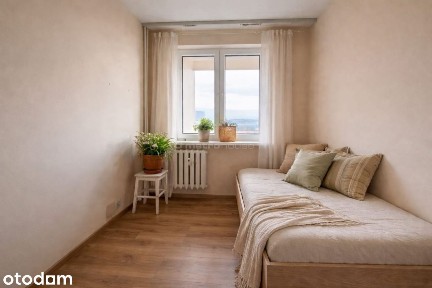 Nowowiejska, Sady, Kielce, świętokrzyskie