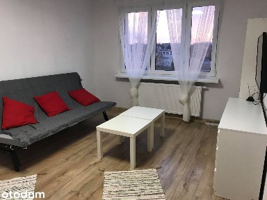 Wynajmę mieszkanie w Śremie