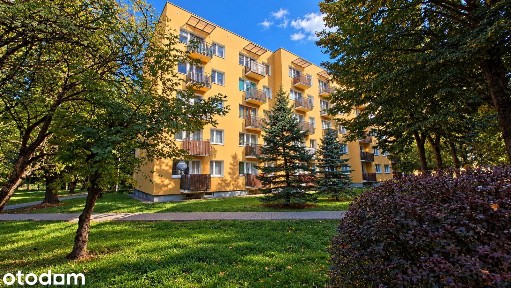 3 pokoje z balkonem blisko centrum | Zamość | 0%