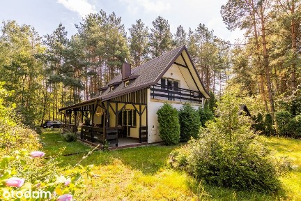 Leśna enklawa 40 min od Warszawy - klimatyczny dom