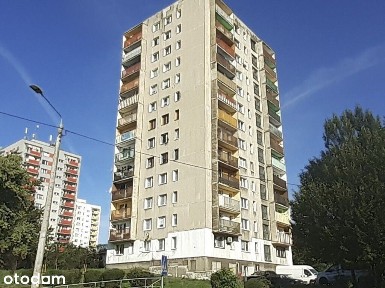 Słoneczne mieszkanie z perspektywą wzniesienia.