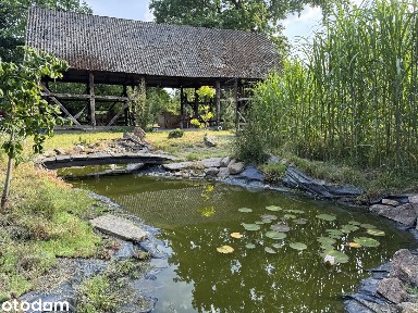 WYJĄTKOWE SIEDLISKO W STYLU JAPOŃSKIM