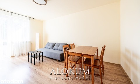 Jasne mieszkanie 48 m² na wynajem