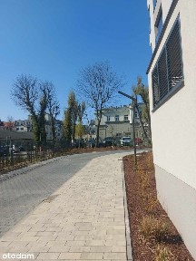 Wilda, Apartament, ul. Bergera