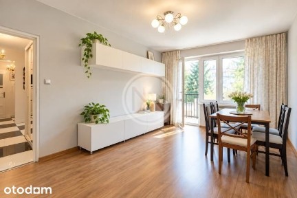 I Piętro | 2 Pokoje | Jagiellonów | Lipno | Balkon