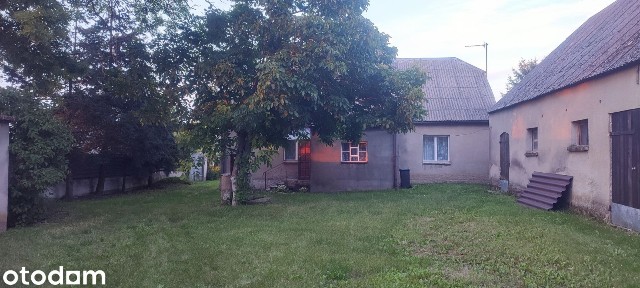 Siedlisko o powierzchni 2,94 ha położone w gminie Rogowo, woj. k-p