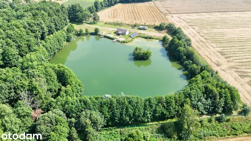 Prywatny raj 2.5ha: staw, trailer, nowy budynek 70m2.,auto Premium.