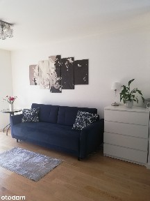 Na sprzedaż 3 -pokojowe mieszkanie z balkonem 54,59 m2 /Jagodno