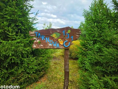 Wyjątkowe siedlisko 138m2, stajnia, agroturystyka przy lesie - okazja!