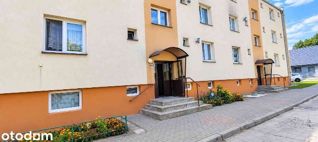 3 POKOJE | 1. PIĘTRO | BALKON | OGRÓDEK | DUŻA PIWNICA