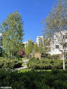 al. Aleja Komisji Edukacji Narodowej, Ursynów-Centrum, Ursynów, Warszawa, mazowieckie