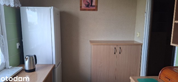 Wynajem 1-pokojowego mieszkania z balkonem