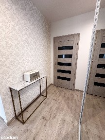 ul. Zaniemyska, Komandoria, Nowe Miasto, Poznań, wielkopolskie