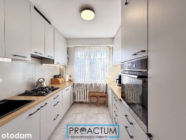 73m2| 4 pokoje| balkon| piwnica| zieleń
