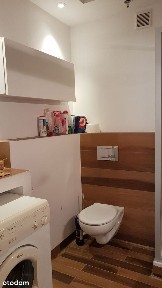 Mieszkanie 2 pokojowe do wynajęcia; Myśliwska Alfa