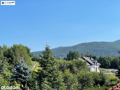 Dom w dzielnicy Kamienica!