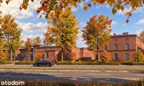 Grunwaldzka, Grunwald, Poznań, wielkopolskie