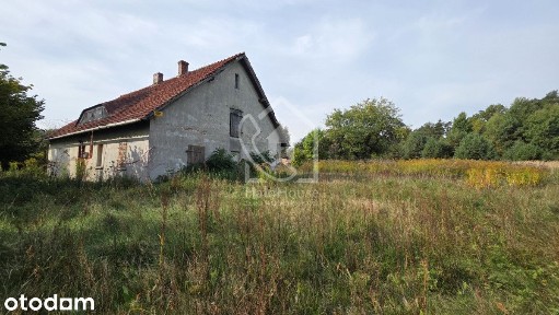 Dom w otoczeniu Lasów w spokojnej okolicy