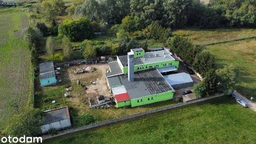ul. Rzemieślnicza, Wąsosz, górowski, dolnośląskie