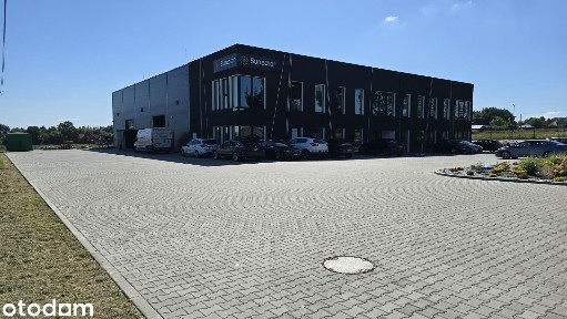 Trzciana, Świlcza, rzeszowski, podkarpackie