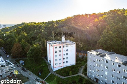 Widok na las z każdego okna | Blisko centrum | Zie